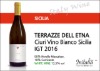 [ART_57] TERRAZZE DELL ETNA Ciuri Vino Bianco Sicilia IGT 2016
